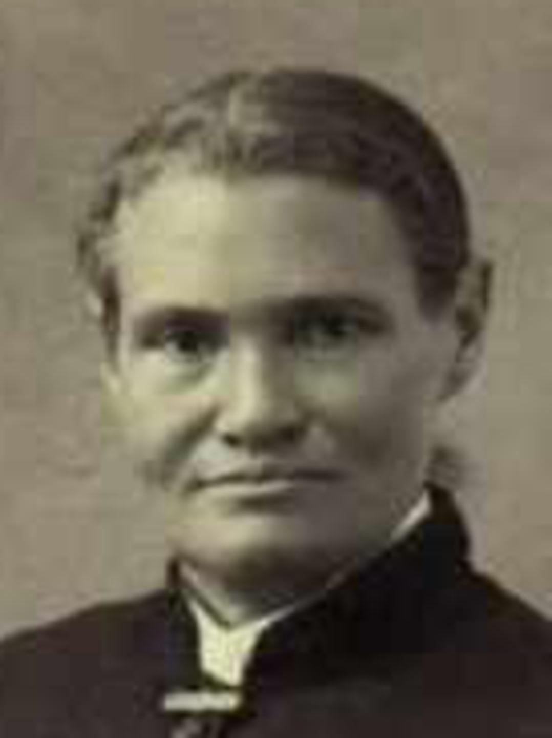 Annis Hulda Elmer (1838 - 1895) Profile